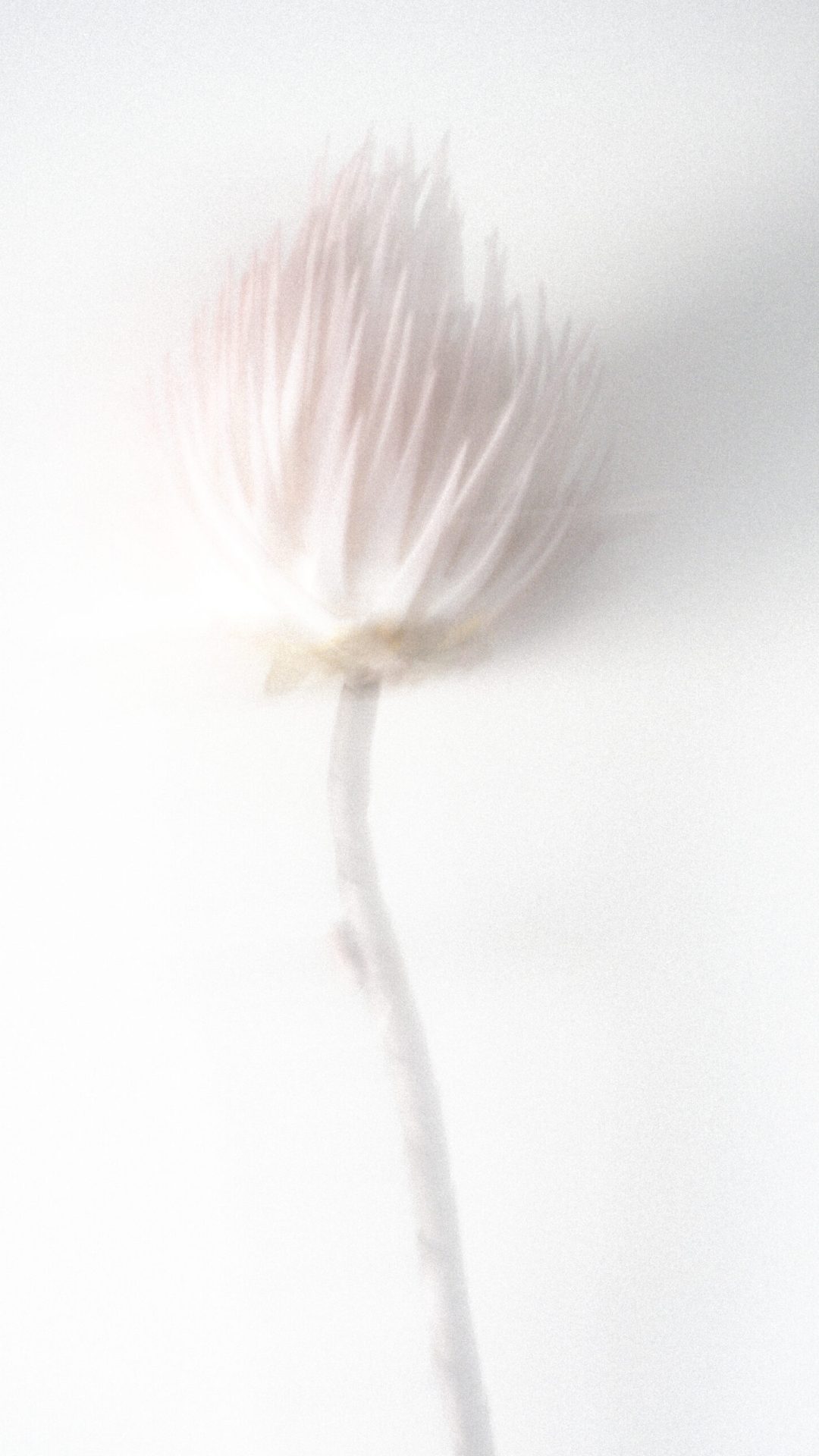 2025 Milano, Digital Photography + Fine Art Printing 13x18cm, 1/3