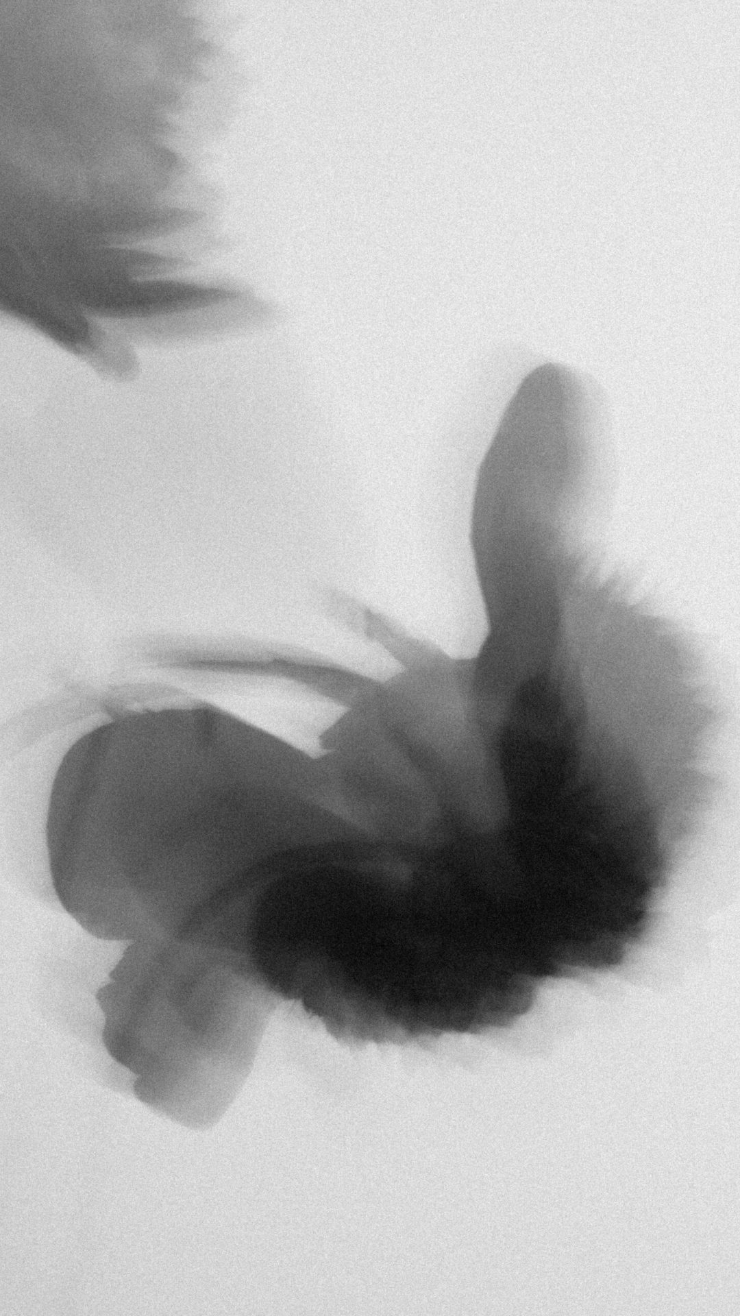 2022 Milano, Digital Photography + Fine Art Printing 13x18cm, 1/3