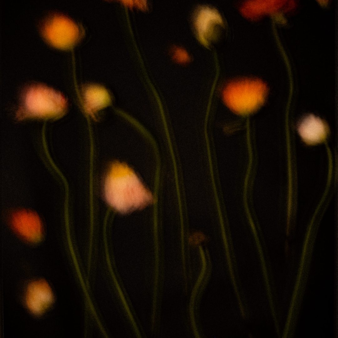 2025 Milano, Digital Photography + Fine Art Printing 30x40cm, 1/3