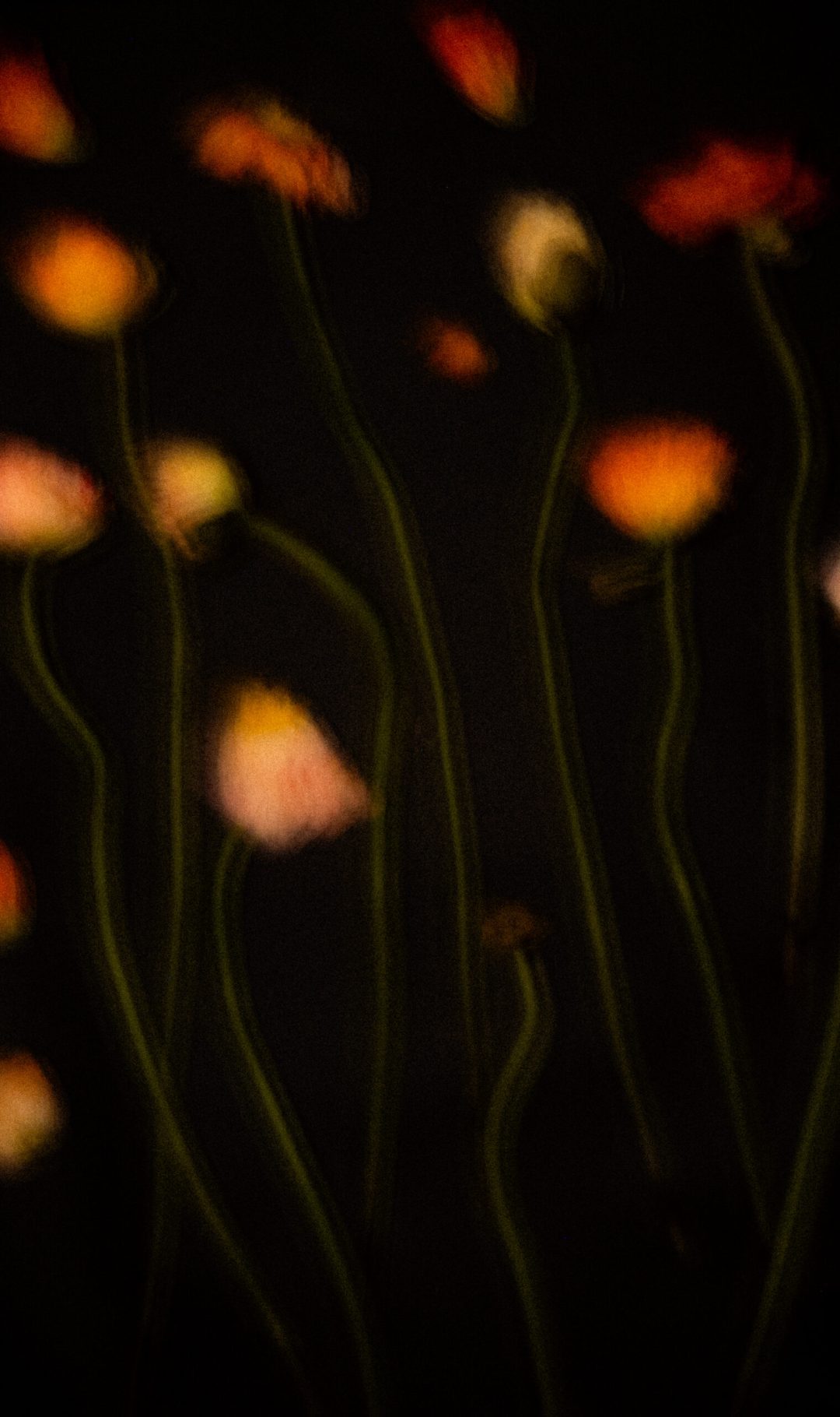 2025 Milano, Digital Photography + Fine Art Printing 30x40cm, 1/3