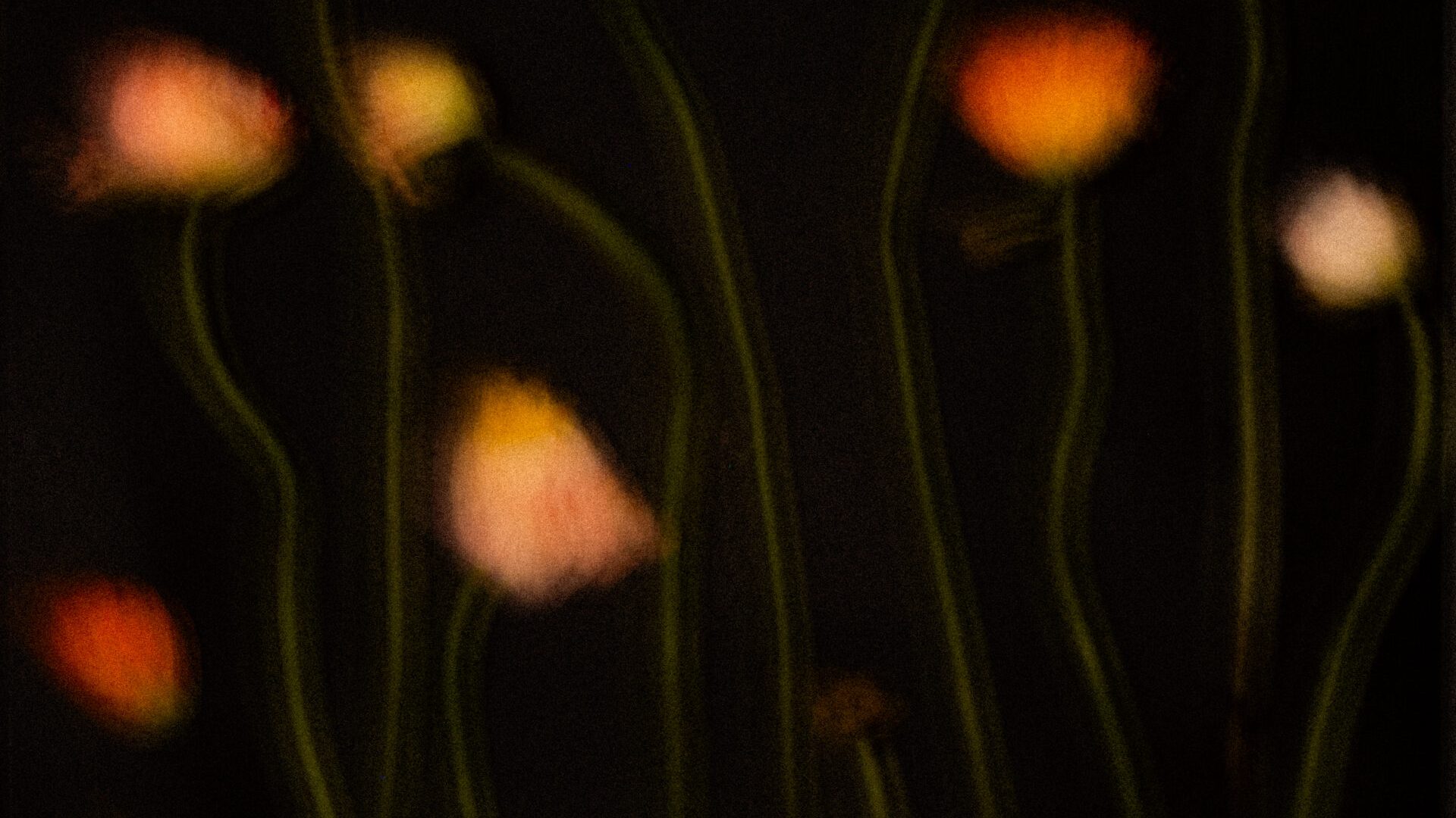 2025 Milano, Digital Photography + Fine Art Printing 30x40cm, 1/3