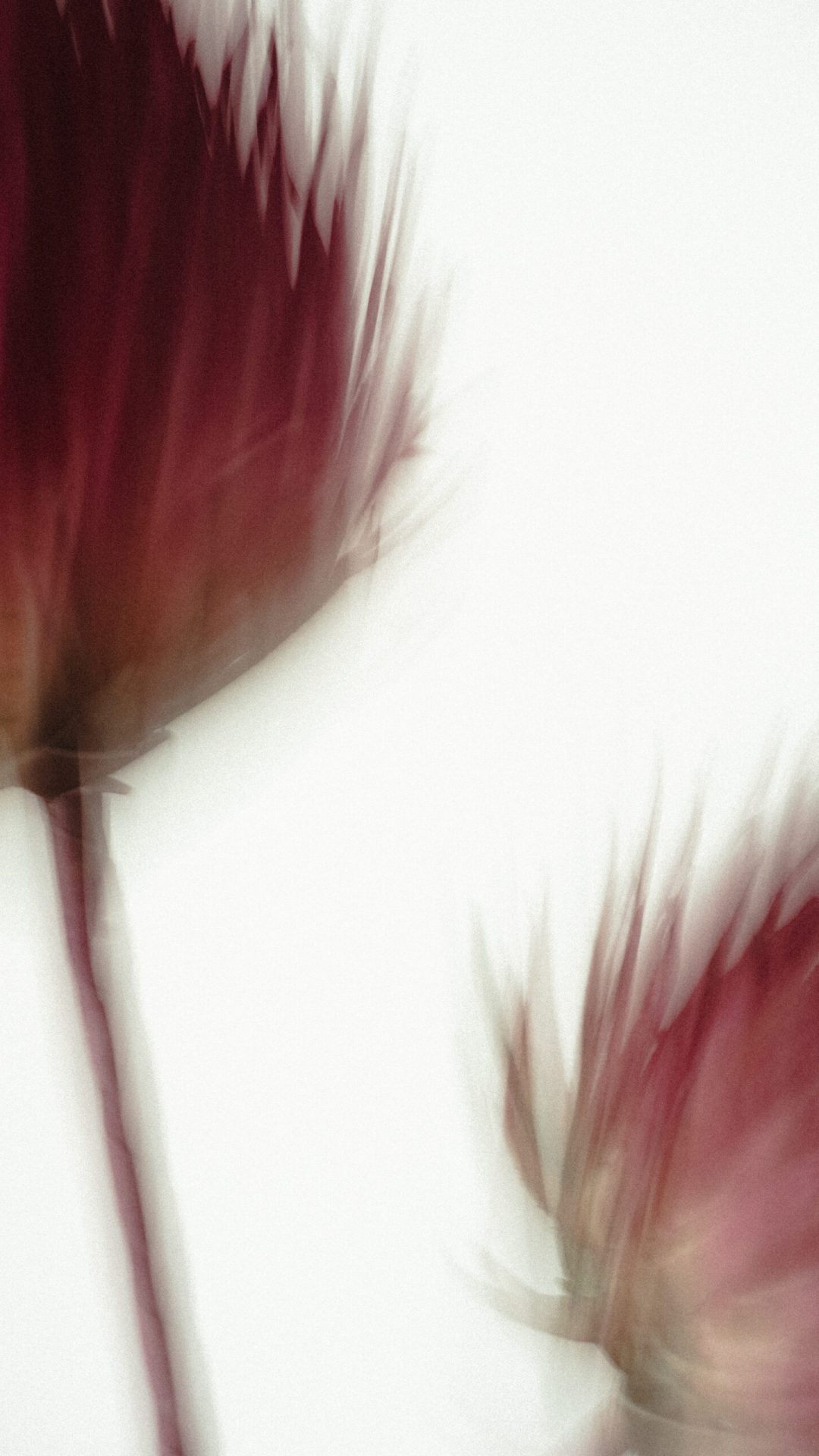 2025 Milano, Digital Photography + Fine Art Printing 13x18cm, 1/3