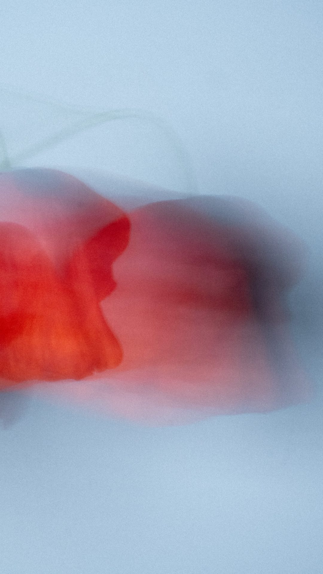2022 Milano, Digital Photography + Fine Art Printing 13x18cm, 1/3