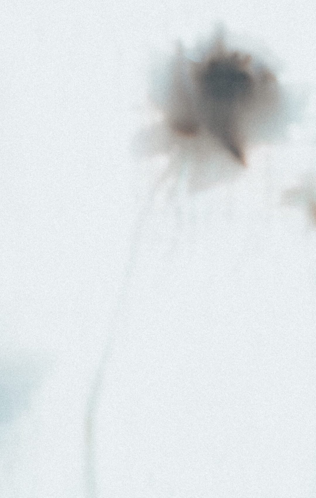 2024 Napoli, Digital Photography + Fine Art Printing 15x10cm, 1/3