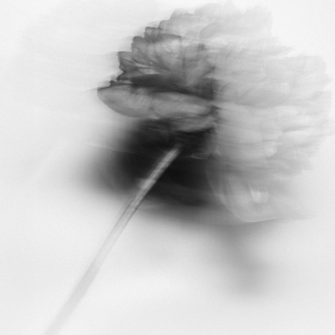 2022 Milano, Digital Photography + Fine Art Printing 13x18cm, 1/3