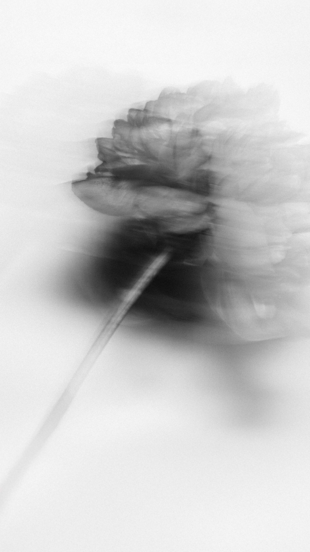 2022 Milano, Digital Photography + Fine Art Printing 13x18cm, 1/3