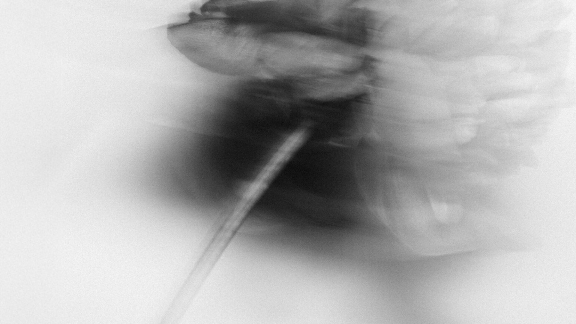 2022 Milano, Digital Photography + Fine Art Printing 13x18cm, 1/3