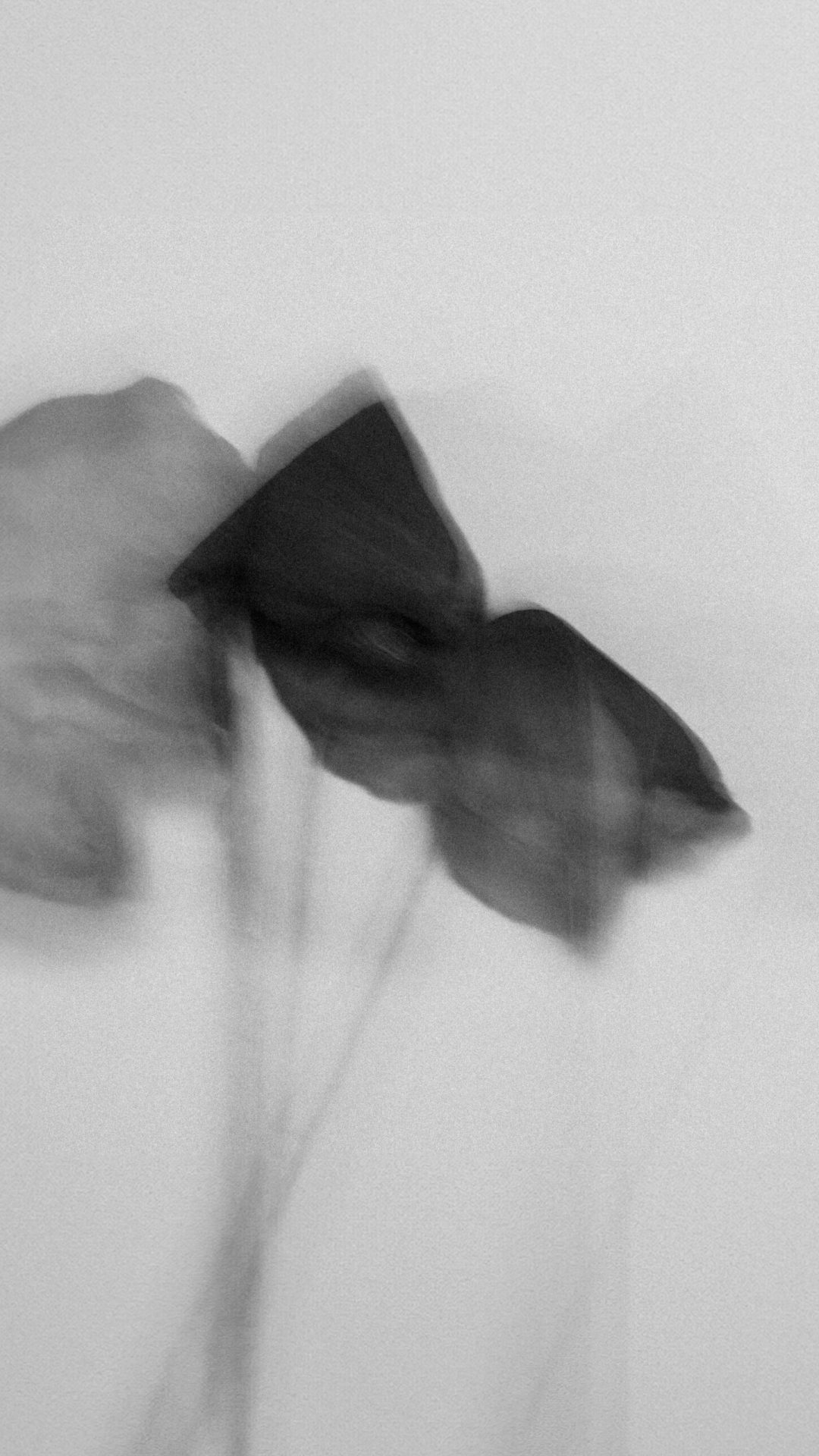 2022 Milano, Digital Photography + Fine Art Printing 13x18cm, 1/3