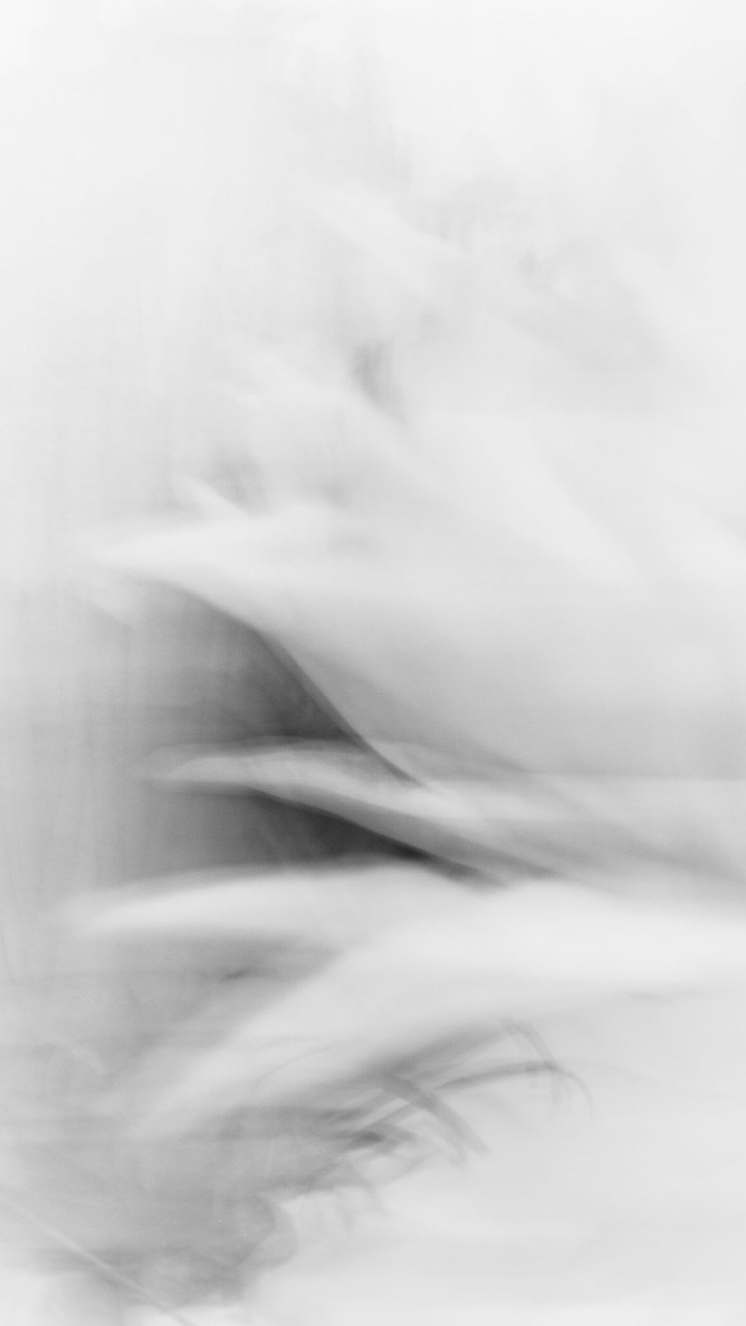 2025 Milano, Digital Photography + Fine Art Printing 13x18cm, 1/3
