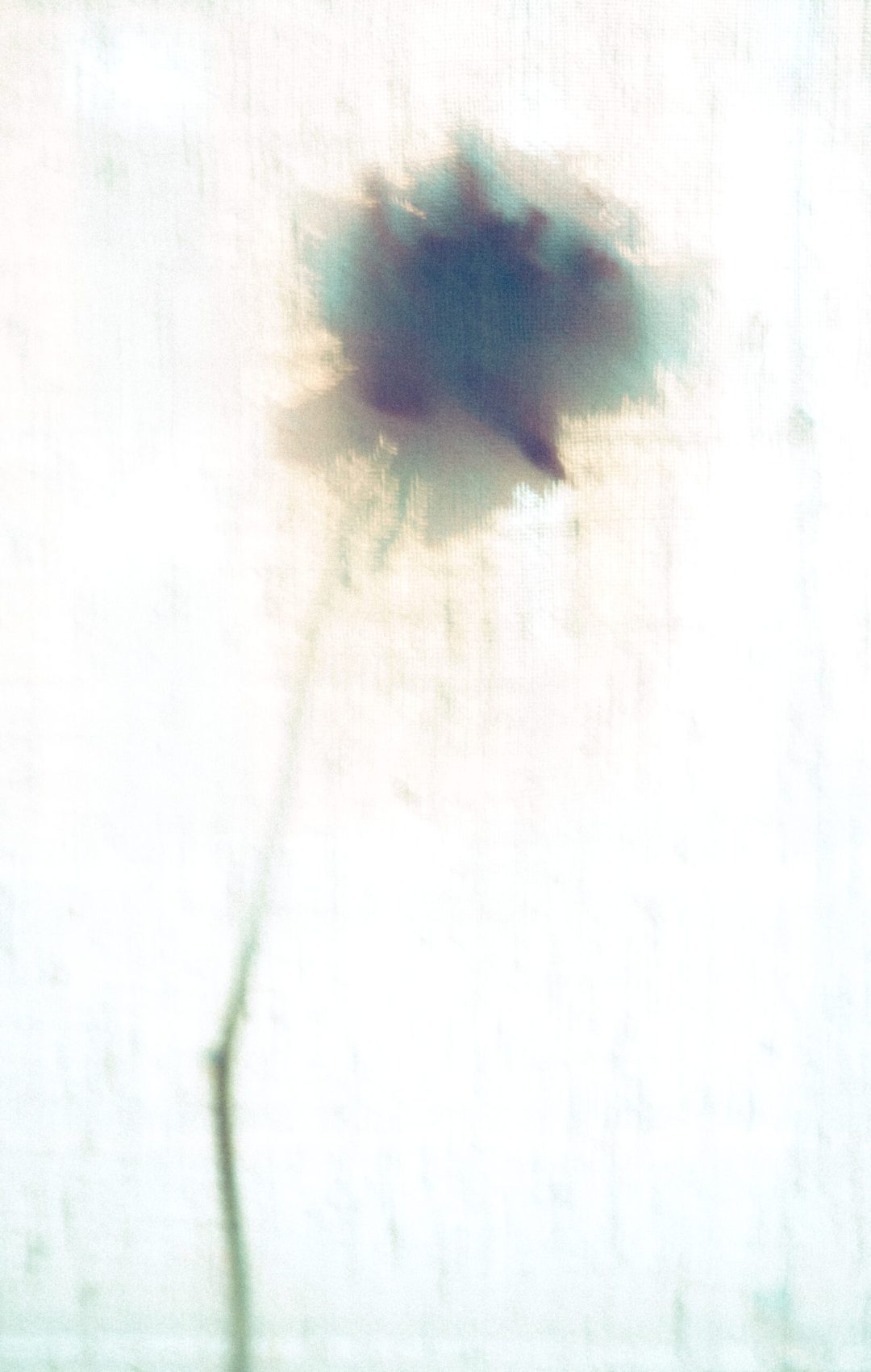 2024 Napoli, Digital Photography + Fine Art Printing 15x10cm, 1/3