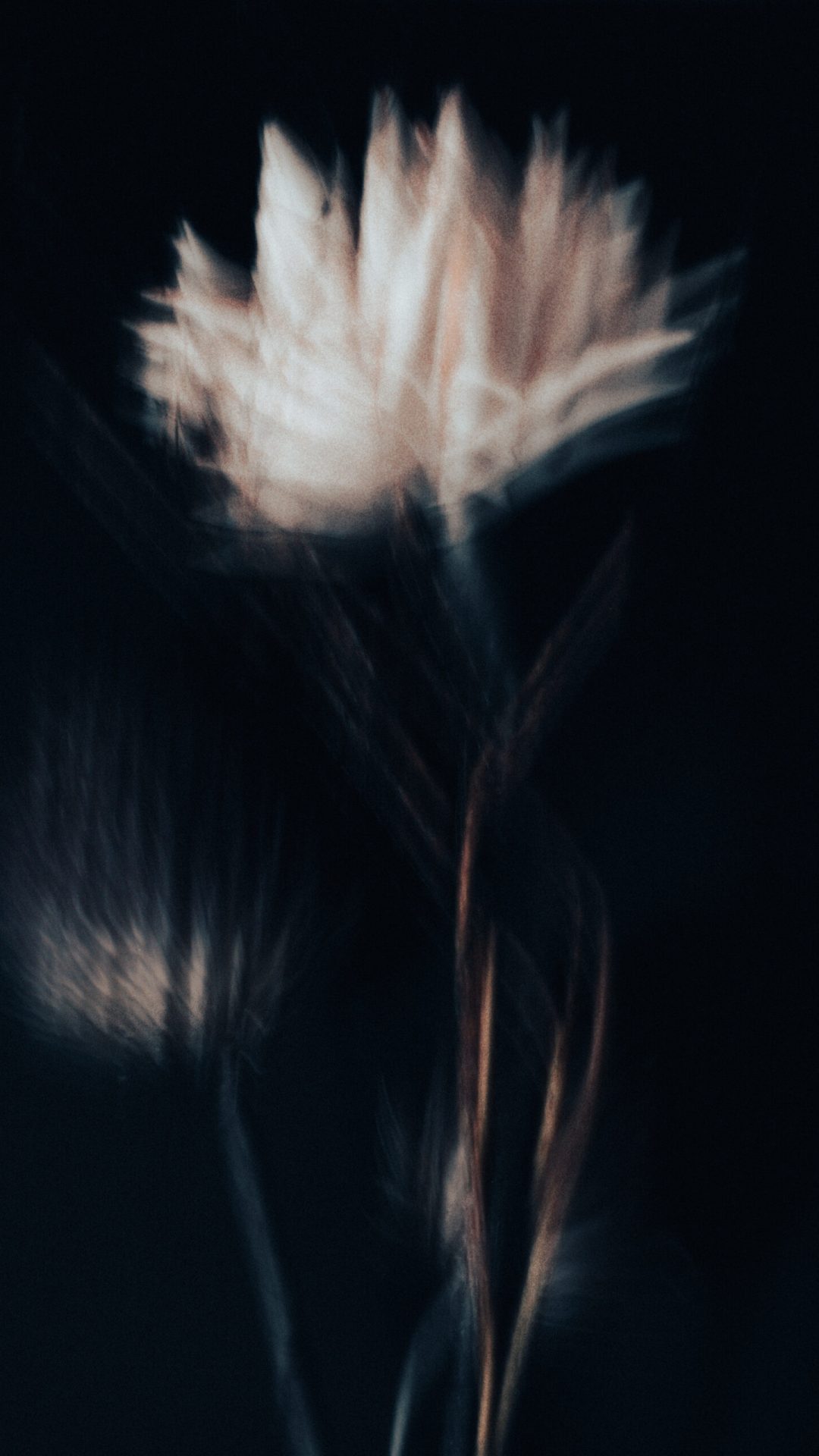 2025 Milano, Digital Photography + Fine Art Printing 13x18cm, 1/3