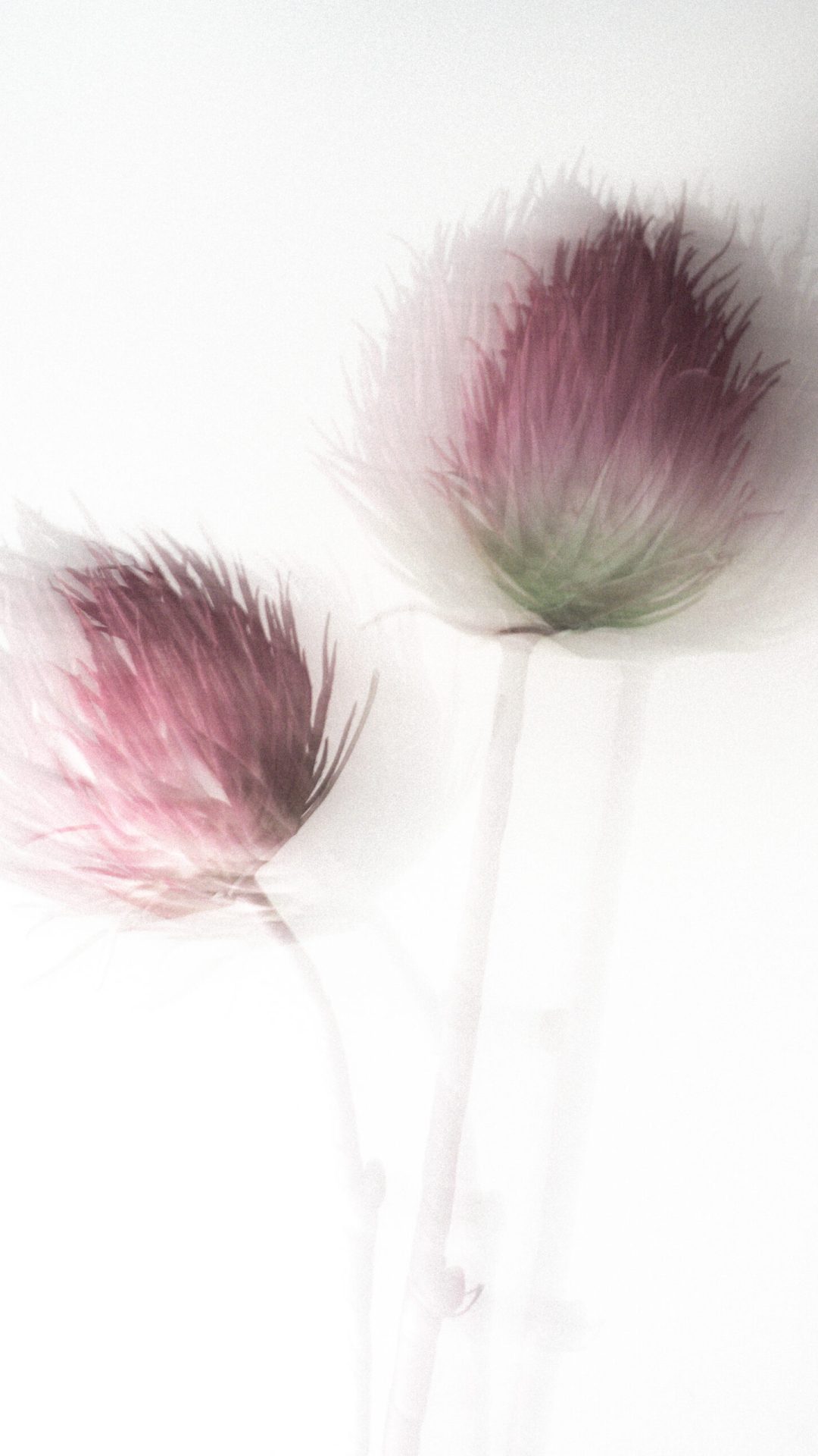 2025 Milano, Digital Photography + Fine Art Printing 13x18cm, 1/3