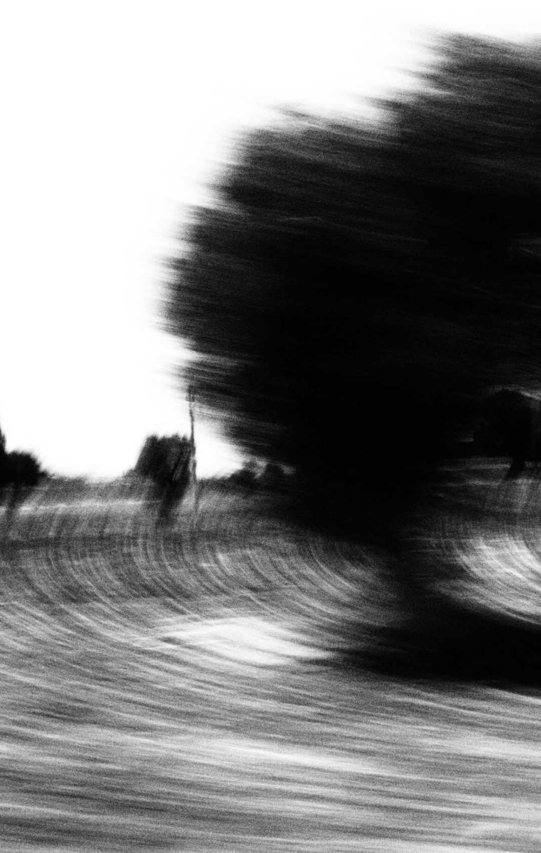 2021 Lecce, Digital Photography + Forex 3mm Printing 70x50cm