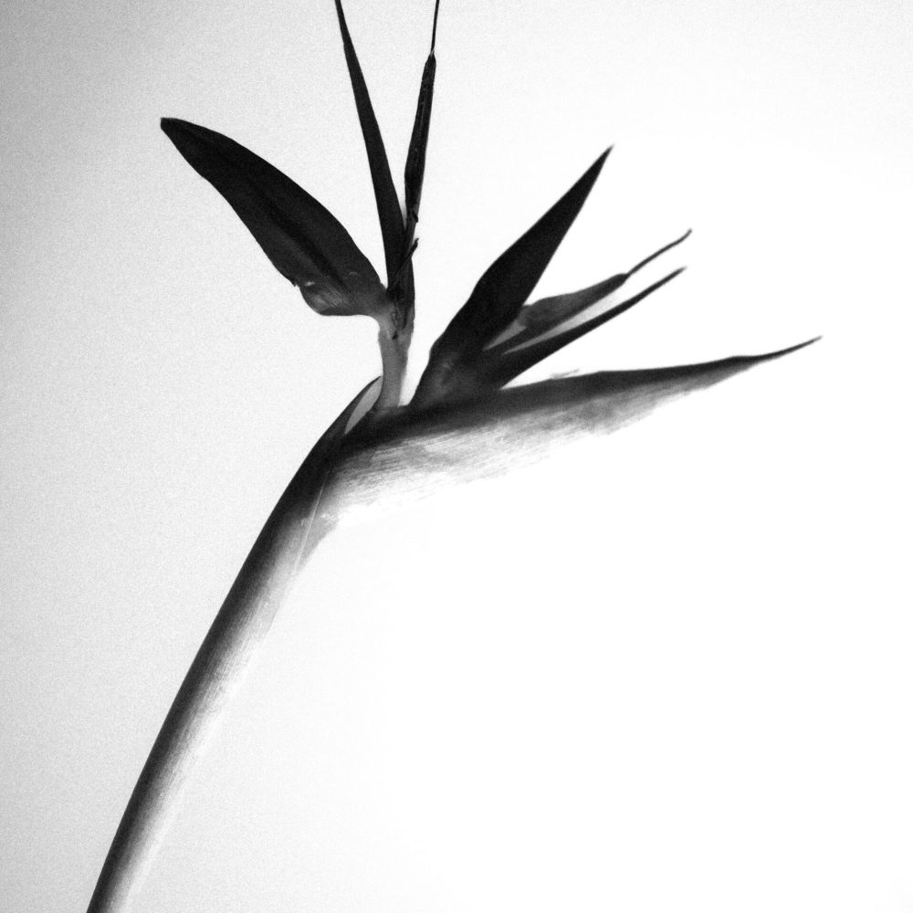 2024 Milano, Digital Photography + Fine Art Printing 13x18cm, Edition 1/5