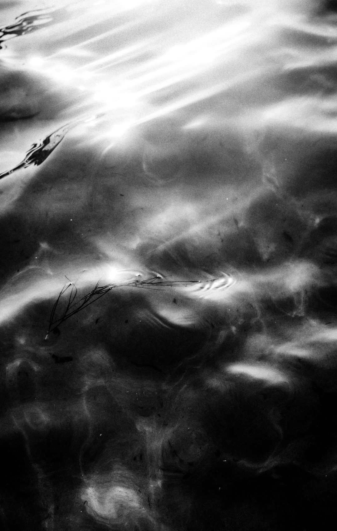 2021 Lecce, Digital Photography + Forex 3mm Printing 70x50cm