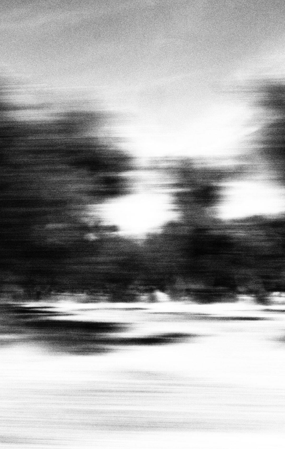 2021 Lecce, Digital Photography + Forex 3mm Printing 70x50cm