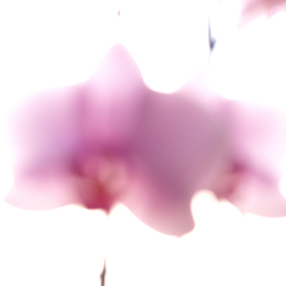 2022 Napoli, Digital Photography + Fine Art Printing 18x13cm, 1/5