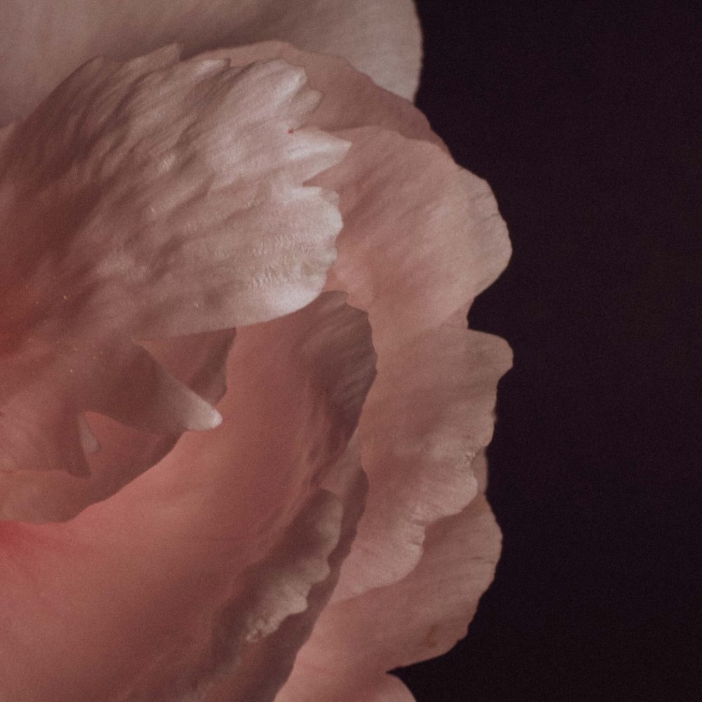 2022 Milano, Digital Photography + Fine Art Printing 13x18cm, 1/5