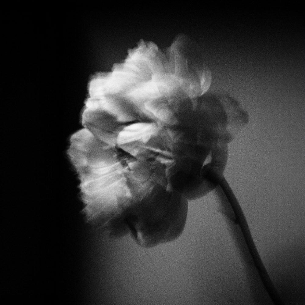2022 Milano, Digital Photography + Fine Art Printing 13x18cm, 1/5